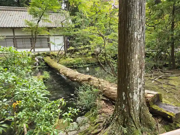 法然院(京都府)