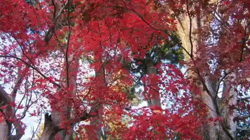 鵜川神社の庭園