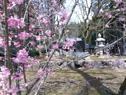 賀茂神社(福井県)