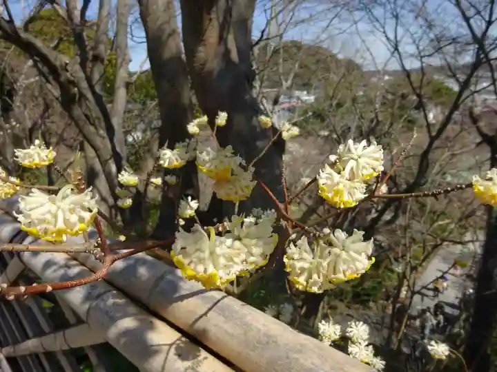 長谷寺(神奈川県)