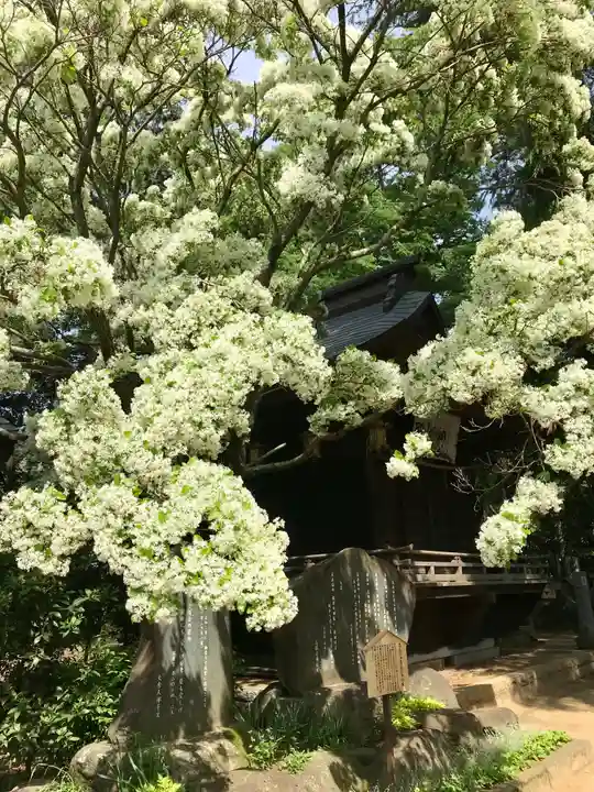大宝八幡宮の自然