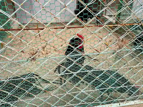 玉祖神社(山口県)