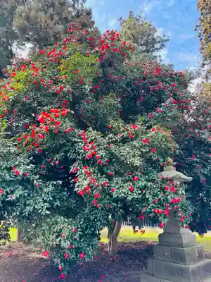 守りの神　藤基神社(新潟県)