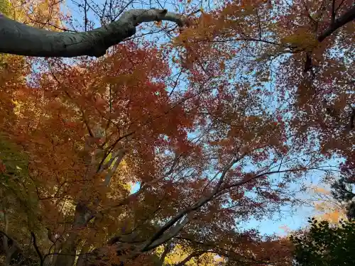 明月院の{uncategorized: "未分類", other: "その他", undefined: "問題あり", building: "その他建物", grave: "お墓", sacred_gate: "鳥居", guardian: "狛犬", statue: "像", buddha: "仏像", history: "歴史", nature: "自然", garden: "庭園", animal: "動物", pagoda: "塔", temizu: "手水舎", mountain_gate: "山門・神門", sanctuary: "本殿・本堂", subordinate: "末社・摂社", art: "芸術", scenery: "景色", jizo: "地蔵", ema: "絵馬", goshuin: "御朱印", omikuji: "おみくじ", items: "授与品その他", amulet: "お守り", goshuincho: "御朱印帳", eats: "食事", festival: "お祭り", votive_dance: "神楽", shichigosan: "七五三参", wedding: "結婚式", experience: "体験その他", initially: "初詣", around: "周辺", anti_infection: "感染症対策"}