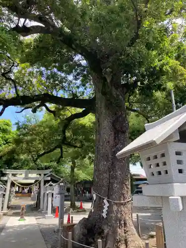 芳川神社(埼玉県)
