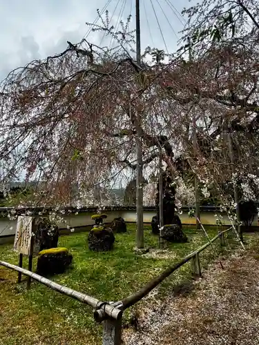 福徳寺(京都府)