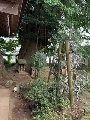 鹿嶋神社(茨城県)