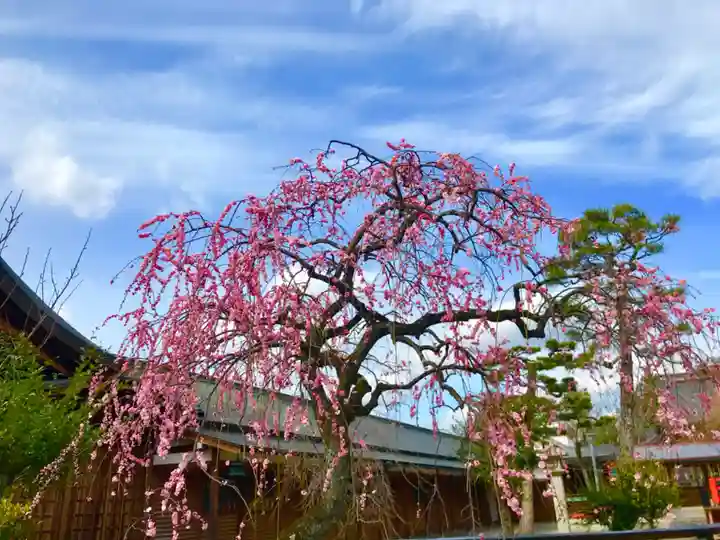 車折神社の自然