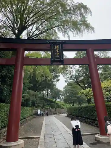 根津神社の鳥居