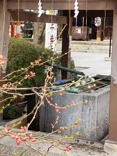 千葉神社の手水舎
