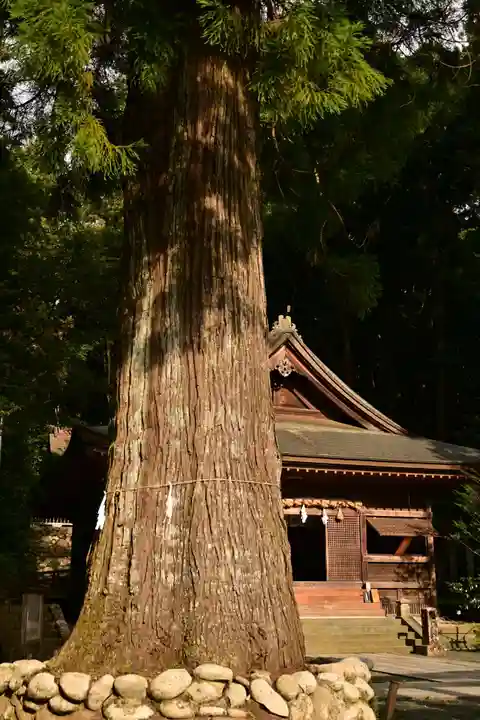 久万山総鎮守 三島神社(愛媛県)