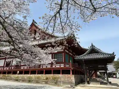 矢田寺観音堂(奈良県)
