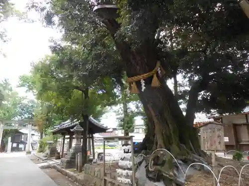 豊川進雄神社(愛知県)