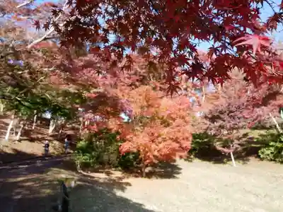 葭原観音堂の自然