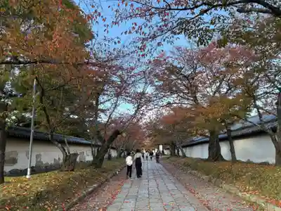 醍醐寺(京都府)
