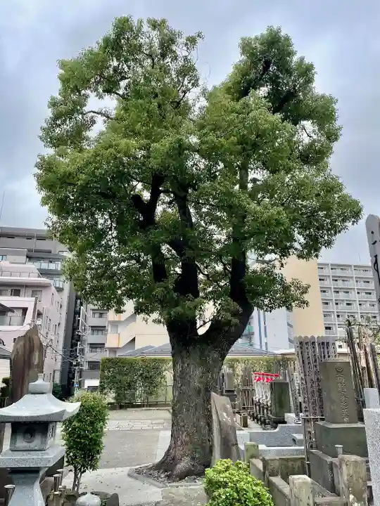 普門寺(神奈川県)