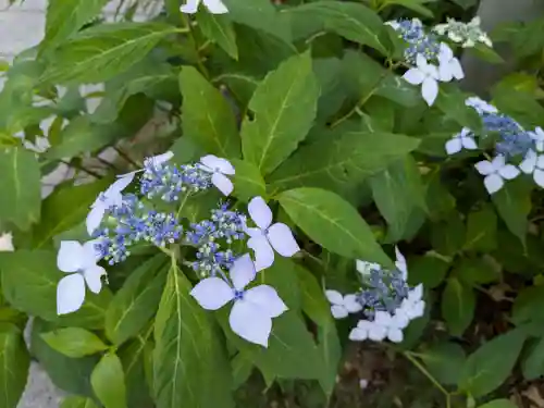 西野神社(北海道)