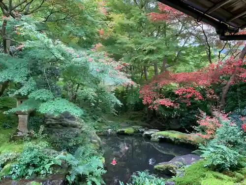 光明寺瑠璃光院の庭園