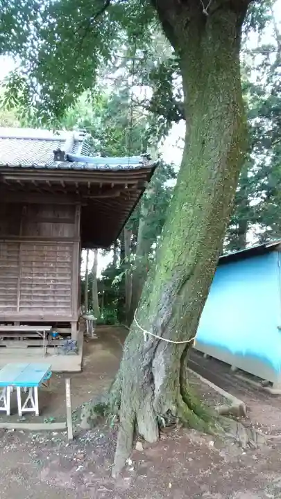 竹原神社の本殿・本堂
