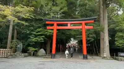 霧島神宮(鹿児島県)