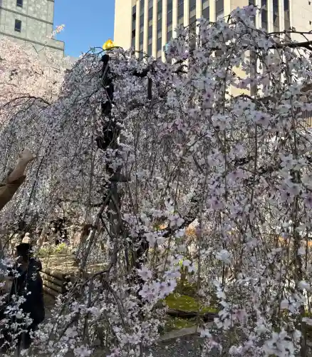 頂法寺（六角堂）の{uncategorized: "未分類", other: "その他", undefined: "問題あり", building: "その他建物", grave: "お墓", sacred_gate: "鳥居", guardian: "狛犬", statue: "像", buddha: "仏像", history: "歴史", nature: "自然", garden: "庭園", animal: "動物", pagoda: "塔", temizu: "手水舎", mountain_gate: "山門・神門", sanctuary: "本殿・本堂", subordinate: "末社・摂社", art: "芸術", scenery: "景色", jizo: "地蔵", ema: "絵馬", goshuin: "御朱印", omikuji: "おみくじ", items: "授与品その他", amulet: "お守り", goshuincho: "御朱印帳", eats: "食事", festival: "お祭り", votive_dance: "神楽", shichigosan: "七五三参", wedding: "結婚式", experience: "体験その他", initially: "初詣", around: "周辺", anti_infection: "感染症対策"}