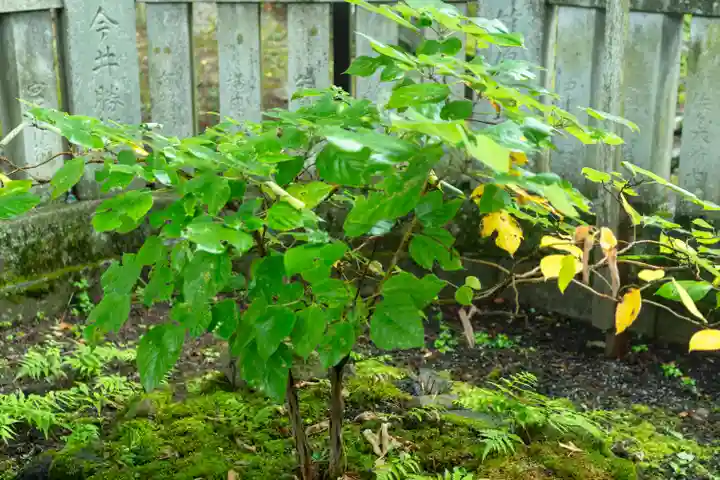 諏訪大社上社前宮(長野県)