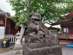 （芝生）浅間神社の狛犬