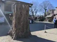 日野八坂神社の建物その他