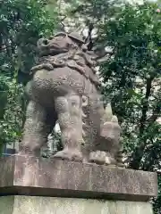 赤坂氷川神社の狛犬