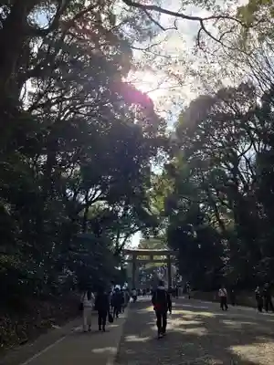 明治神宮(東京都)