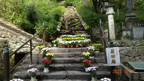 長谷寺(奈良県)