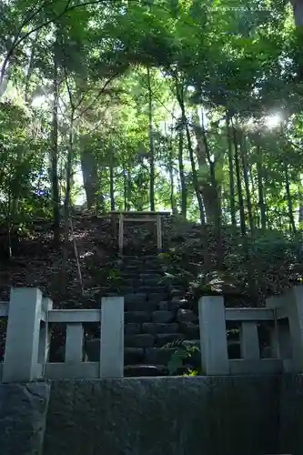 寒川神社(神奈川県)