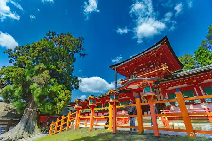 春日大社(奈良県)