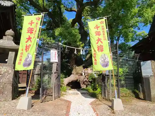 牛嶋天満宮の建物その他