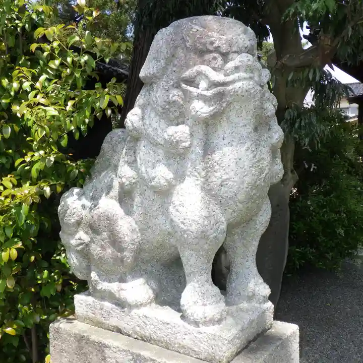 金刀比羅宮 天満天神宮の狛犬