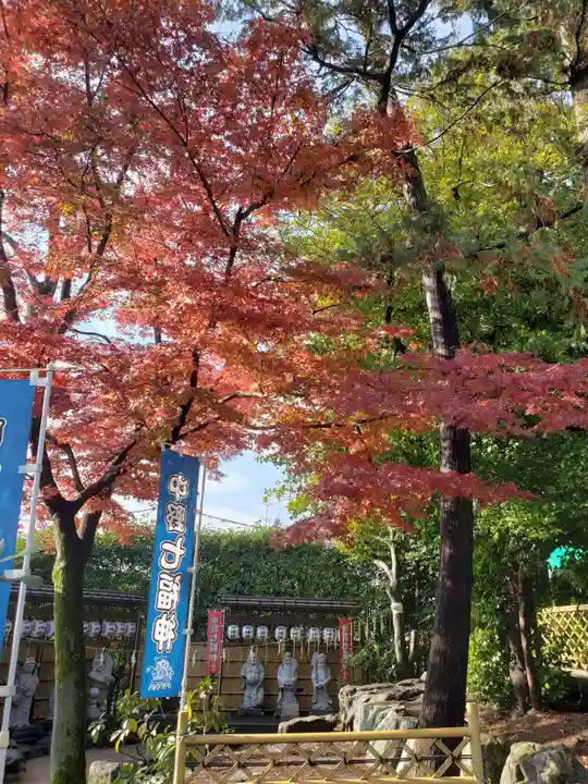中野沼袋氷川神社(東京都)