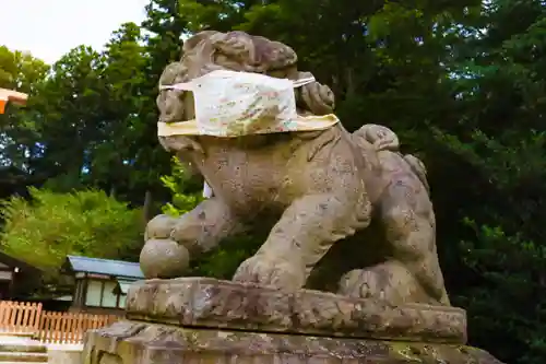 乃木神社の狛犬