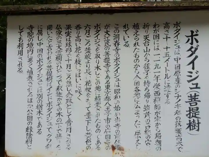 洞春寺(山口県)