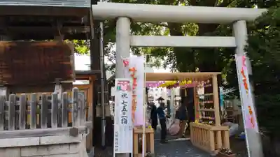札幌諏訪神社の七五三参