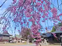福島稲荷神社(福島県)