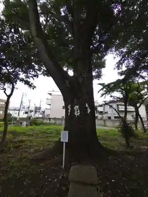 観音寺（世田谷山観音寺）(東京都)