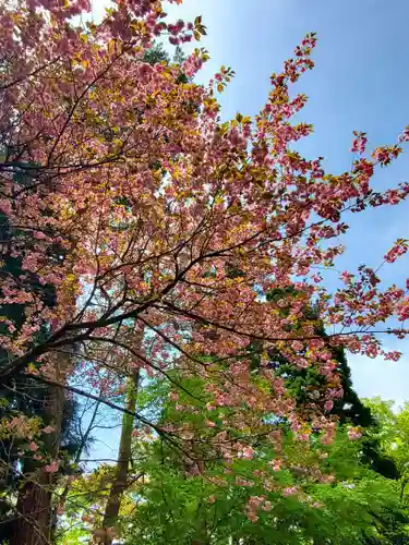 土津神社｜こどもと出世の神さまの自然