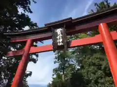 一之宮貫前神社の鳥居