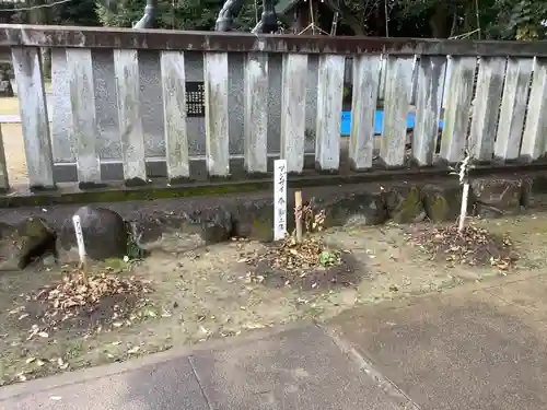 酒見神社の庭園