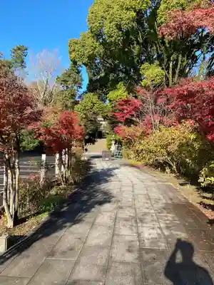 報徳二宮神社(神奈川県)
