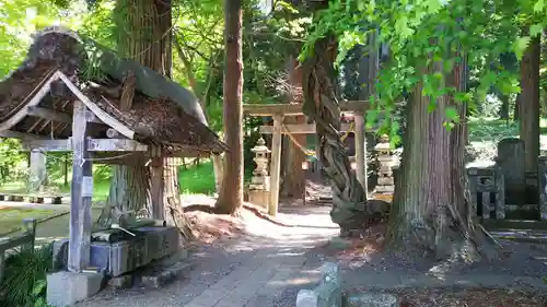 白河神社の手水