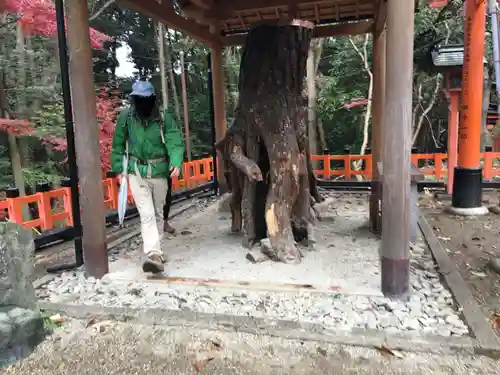 伏見稲荷大社の自然