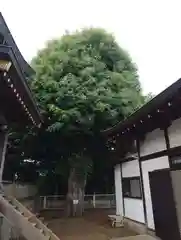 駒形神社(千葉県)