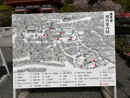 勝尾寺の{uncategorized: "未分類", other: "その他", undefined: "問題あり", building: "その他建物", grave: "お墓", sacred_gate: "鳥居", guardian: "狛犬", statue: "像", buddha: "仏像", history: "歴史", nature: "自然", garden: "庭園", animal: "動物", pagoda: "塔", temizu: "手水舎", mountain_gate: "山門・神門", sanctuary: "本殿・本堂", subordinate: "末社・摂社", art: "芸術", scenery: "景色", jizo: "地蔵", ema: "絵馬", goshuin: "御朱印", omikuji: "おみくじ", items: "授与品その他", amulet: "お守り", goshuincho: "御朱印帳", eats: "食事", festival: "お祭り", votive_dance: "神楽", shichigosan: "七五三参", wedding: "結婚式", experience: "体験その他", initially: "初詣", around: "周辺", anti_infection: "感染症対策"}