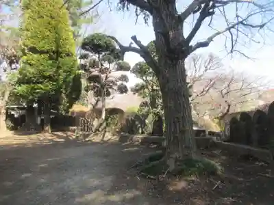 乗蓮寺(東京都)